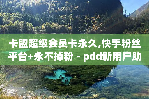 卡盟超级会员卡永久,快手粉丝平台+永不掉粉 - pdd新用户助力网站 - 拼多多助力会出卖个人信息吗-第1张图片-靖非智能科技传媒