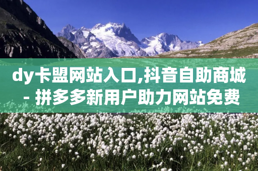 dy卡盟网站入口,抖音自助商城 - 拼多多新用户助力网站免费 - 拼多多送70元真吗-第1张图片-靖非智能科技传媒