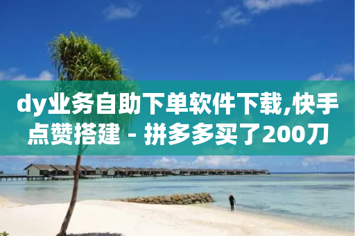 dy业务自助下单软件下载,快手点赞搭建 - 拼多多买了200刀全被吞了 - 开刃工具就是磨刀工具吗-第1张图片-靖非智能科技传媒