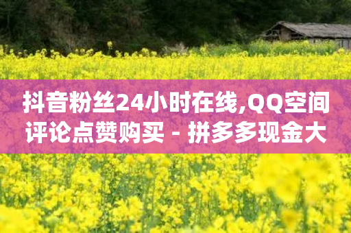 抖音粉丝24小时在线,QQ空间评论点赞购买 - 拼多多现金大转盘助力50元 - pdd券刷不到要买的东西-第1张图片-靖非智能科技传媒