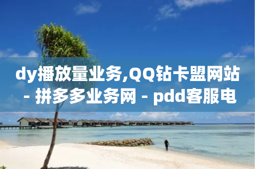 dy播放量业务,QQ钻卡盟网站 - 拼多多业务网 - pdd客服电话系统-第1张图片-靖非智能科技传媒