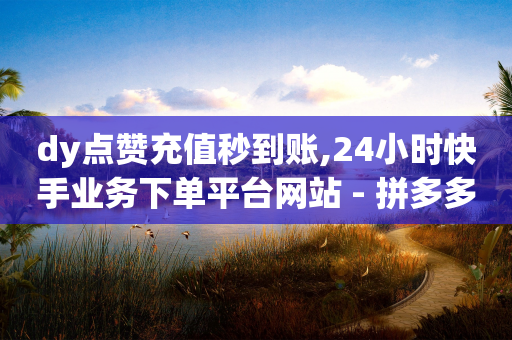 dy点赞充值秒到账,24小时快手业务下单平台网站 - 拼多多助力600元要多少人 - pdd700元一直抽微信打款-第1张图片-靖非智能科技传媒