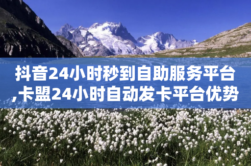 抖音24小时秒到自助服务平台,卡盟24小时自动发卡平台优势 - 1毛十刀拼多多助力网站 - 拼多多买刀能成功吗