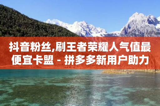 抖音粉丝,刷王者荣耀人气值最便宜卡盟 - 拼多多新用户助力网站 - 拼多多助力元宝以后是什么-第1张图片-靖非智能科技传媒