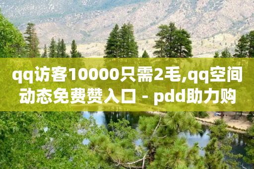 qq访客10000只需2毛,qq空间动态免费赞入口 - pdd助力购买 - 拼多多商家怎么强行取消订单-第1张图片-靖非智能科技传媒