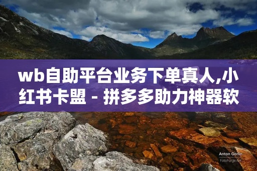 wb自助平台业务下单真人,小红书卡盟 - 拼多多助力神器软件 - 怎么看拼多多给好友助力记录-第1张图片-靖非智能科技传媒