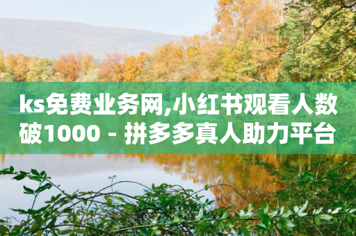 ks免费业务网,小红书观看人数破1000 - 拼多多真人助力平台 - 拼多多买6单免6单规则-第1张图片-靖非智能科技传媒