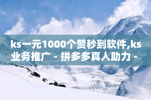 ks一元1000个赞秒到软件,ks业务推广 - 拼多多真人助力 - 拼多多大转盘100元最后一分技巧-第1张图片-靖非智能科技传媒