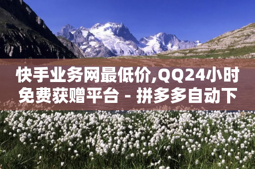 快手业务网最低价,QQ24小时免费获赠平台 - 拼多多自动下单脚本 - 拼多多帮忙助力平台-第1张图片-靖非智能科技传媒