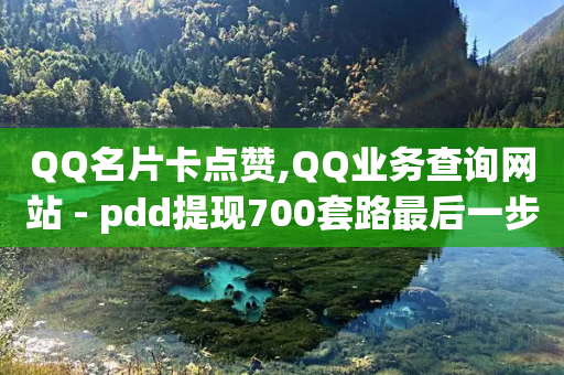 QQ名片卡点赞,QQ业务查询网站 - pdd提现700套路最后一步 - PDD业务下单24小时最低价-第1张图片-靖非智能科技传媒