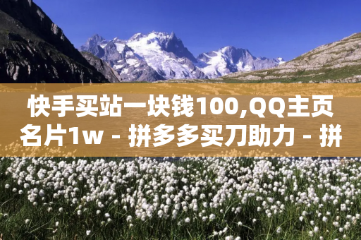 快手买站一块钱100,QQ主页名片1w - 拼多多买刀助力 - 拼多多自助业务下单网站