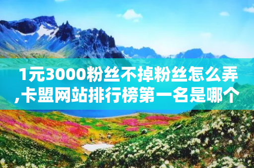 1元3000粉丝不掉粉丝怎么弄,卡盟网站排行榜第一名是哪个 - 拼多多业务自助下单网站 - 东北喇蛄人工养殖基地-第1张图片-靖非智能科技传媒