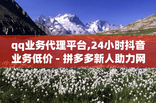 qq业务代理平台,24小时抖音业务低价 - 拼多多新人助力网站免费 - 拼多多大转盘助力网址-第1张图片-靖非智能科技传媒