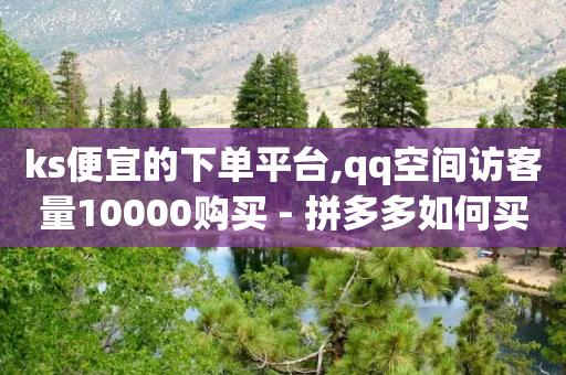 ks便宜的下单平台,qq空间访客量10000购买 - 拼多多如何买助力 - 拼多多砍价免费拿在哪入口-第1张图片-靖非智能科技传媒