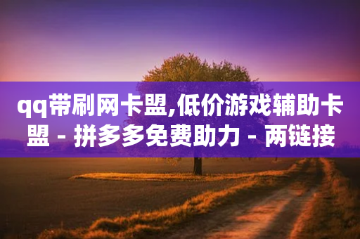 qq带刷网卡盟,低价游戏辅助卡盟 - 拼多多免费助力 - 两链接批量下单-第1张图片-靖非智能科技传媒