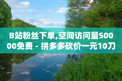 B站粉丝下单,空间访问量50000免费 - 拼多多砍价一元10刀 - 拼多多pc网页端在哪里-第1张图片-靖非智能科技传媒