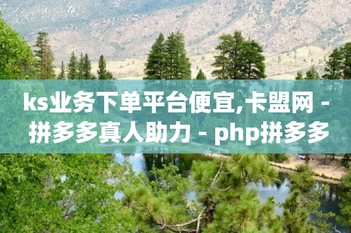 ks业务下单平台便宜,卡盟网 - 拼多多真人助力 - php拼多多现金转盘-第1张图片-靖非智能科技传媒