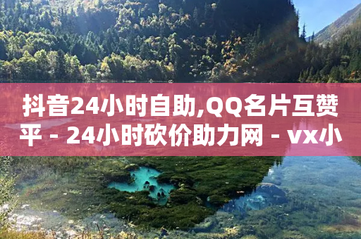 抖音24小时自助,QQ名片互赞平 - 24小时砍价助力网 - vx小号批发平台-第1张图片-靖非智能科技传媒