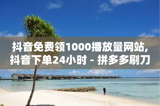 抖音免费领1000播放量网站,抖音下单24小时 - 拼多多刷刀软件 - 一个新手怎么做电商-第1张图片-靖非智能科技传媒