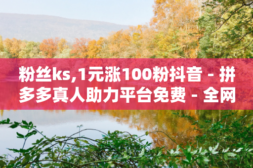 粉丝ks,1元涨100粉抖音 - 拼多多真人助力平台免费 - 全网最低价的下单平台-第1张图片-靖非智能科技传媒