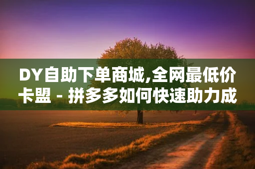 DY自助下单商城,全网最低价卡盟 - 拼多多如何快速助力成功 - 拼多多助力除了邀请好友还能-第1张图片-靖非智能科技传媒