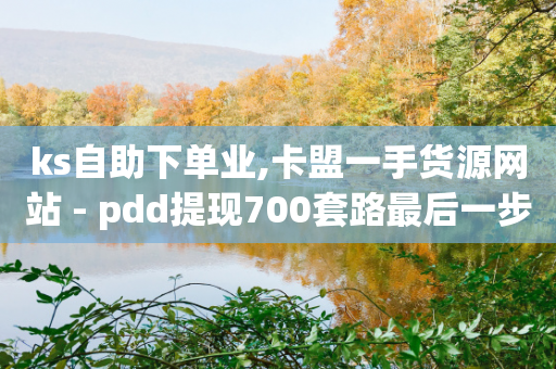 ks自助下单业,卡盟一手货源网站 - pdd提现700套路最后一步 - pdd抽奖不显示概率-第1张图片-靖非智能科技传媒