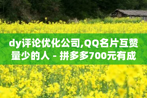 dy评论优化公司,QQ名片互赞量少的人 - 拼多多700元有成功的吗 - 为什么拼多多助力有人能成功-第1张图片-靖非智能科技传媒