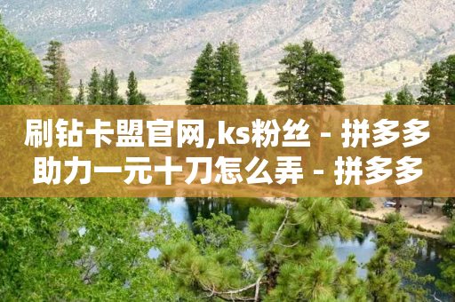 刷钻卡盟官网,ks粉丝 - 拼多多助力一元十刀怎么弄 - 拼多多100块钱需要多少人-第1张图片-靖非智能科技传媒