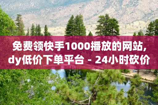 免费领快手1000播放的网站,dy低价下单平台 - 24小时砍价助力网 - 拼多多官网pc版