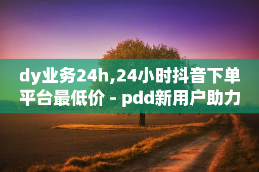 dy业务24h,24小时抖音下单平台最低价 - pdd新用户助力网站 - 逸淘一键下单手机版