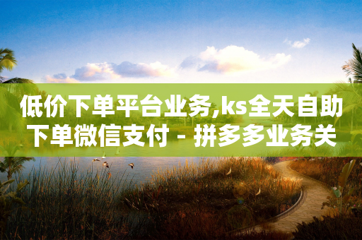 低价下单平台业务,ks全天自助下单微信支付 - 拼多多业务关注下单平台入口链接 - 拼多多小程序怎么帮忙砍价-第1张图片-靖非智能科技传媒