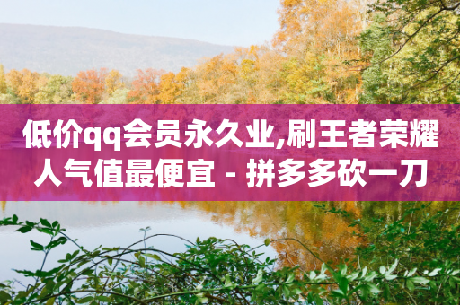 低价qq会员永久业,刷王者荣耀人气值最便宜 - 拼多多砍一刀网站 - 拼多多积分碎片是最后一个-第1张图片-靖非智能科技传媒