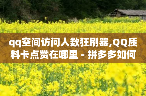 qq空间访问人数狂刷器,QQ质料卡点赞在哪里 - 拼多多如何买助力 - 拼多多提现到了元宝-第1张图片-靖非智能科技传媒