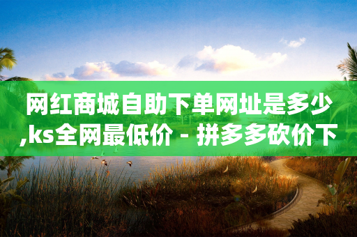 网红商城自助下单网址是多少,ks全网最低价 - 拼多多砍价下单平台 - 拼更多app版下载