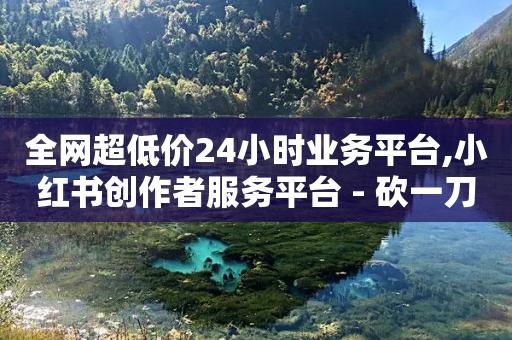 全网超低价24小时业务平台,小红书创作者服务平台 - 砍一刀助力平台 - 拼多多助力帮刷微信付款-第1张图片-靖非智能科技传媒