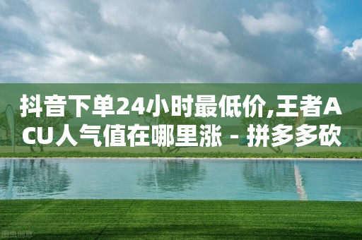 抖音下单24小时最低价,王者ACU人气值在哪里涨 - 拼多多砍价一毛十刀网站靠谱吗 - 拼多多新用户助力神器免费-第1张图片-靖非智能科技传媒