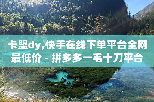 卡盟dy,快手在线下单平台全网最低价 - 拼多多一毛十刀平台 - 拼多多砍价免费拿qq群-第1张图片-靖非智能科技传媒