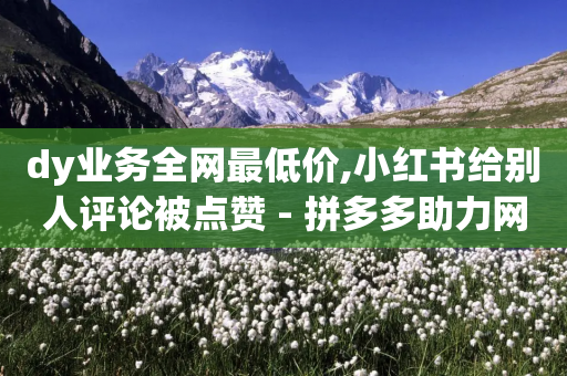 dy业务全网最低价,小红书给别人评论被点赞 - 拼多多助力网站链接在哪 - 拼多多提现秘籍-第1张图片-靖非智能科技传媒