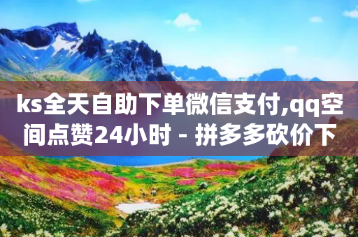 ks全天自助下单微信支付,qq空间点赞24小时 - 拼多多砍价下单平台 - 拼多多官方助力群怎么进