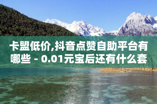 卡盟低价,抖音点赞自助平台有哪些 - 0.01元宝后还有什么套路 - 真人砍价助力网-第1张图片-靖非智能科技传媒