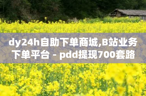 dy24h自助下单商城,B站业务下单平台 - pdd提现700套路最后一步 - 拼多多互帮互助微信群-第1张图片-靖非智能科技传媒