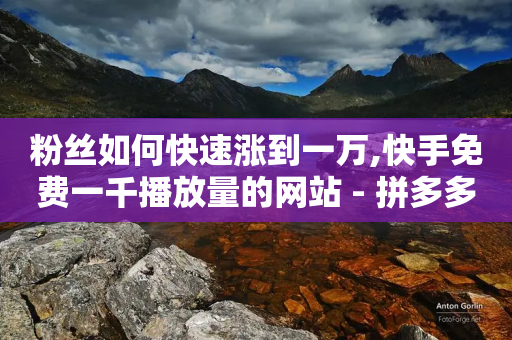 粉丝如何快速涨到一万,快手免费一千播放量的网站 - 拼多多扫码助力软件 - 拼多多商家版登录入口官网-第1张图片-靖非智能科技传媒