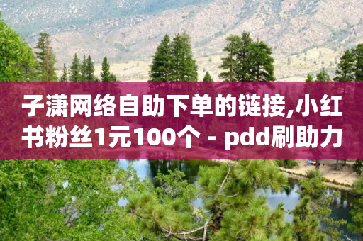 子潇网络自助下单的链接,小红书粉丝1元100个 - pdd刷助力软件 - 现金大转盘助力能助力几次-第1张图片-靖非智能科技传媒