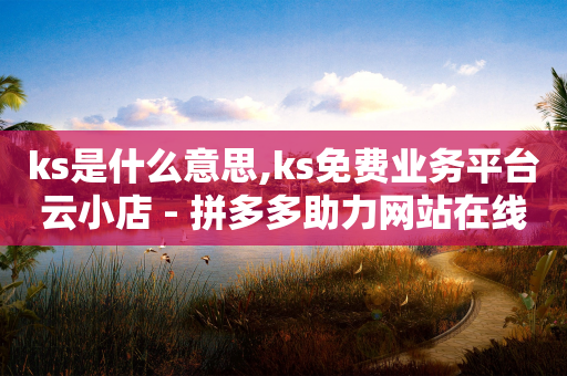 ks是什么意思,ks免费业务平台云小店 - 拼多多助力网站在线刷便宜 - 拼多多下单助手哪个好用