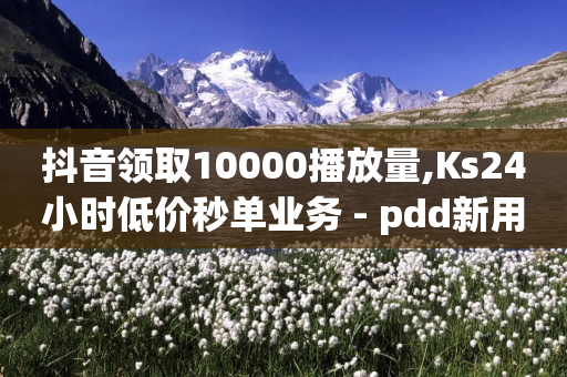 抖音领取10000播放量,Ks24小时低价秒单业务 - pdd新用户助力网站 - 拼多多红包提现背后真相