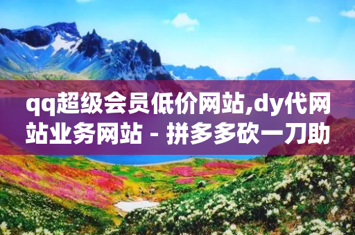 qq超级会员低价网站,dy代网站业务网站 - 拼多多砍一刀助力平台 - 彩虹云商城源码