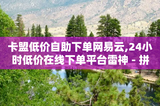 卡盟低价自助下单网易云,24小时低价在线下单平台雷神 - 拼多多助力软件 - 拼多多大转盘助力全过程-第1张图片-靖非智能科技传媒