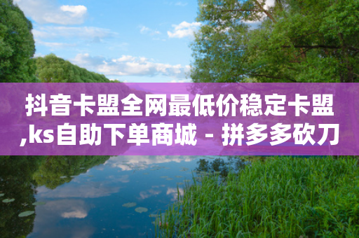 抖音卡盟全网最低价稳定卡盟,ks自助下单商城 - 拼多多砍刀软件代砍平台 - 40元现金大转盘锦鲤附体-第1张图片-靖非智能科技传媒