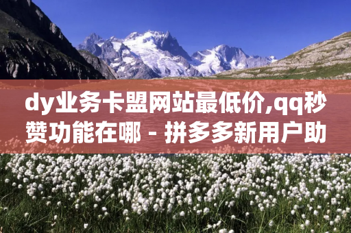 dy业务卡盟网站最低价,qq秒赞功能在哪 - 拼多多新用户助力网站 - 和平精英辅助卡盟