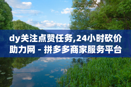 dy关注点赞任务,24小时砍价助力网 - 拼多多商家服务平台 - 拼多多700元是真的假的-第1张图片-靖非智能科技传媒